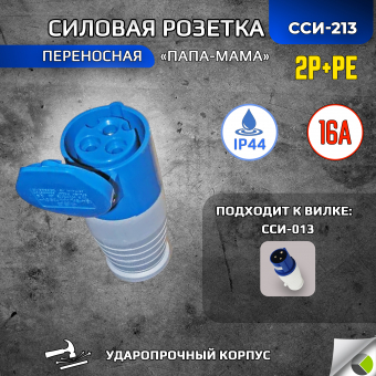 Розетка переносная ССИ-213 2P+РЕ 16А 220В IP44 RUICHI
